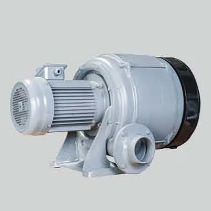 Nopassy HTB100-1005 industrial blower
