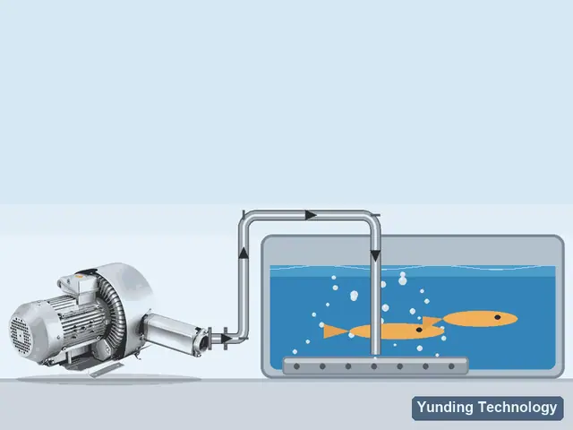 Aquaculture Aeration