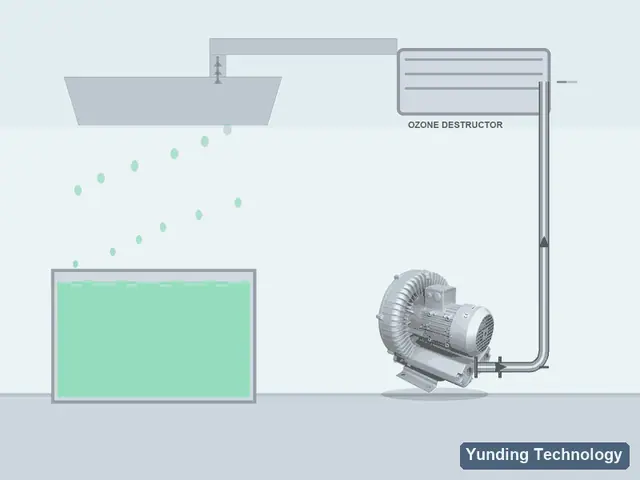 Ozone Vapor Extraction