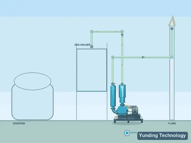 Biogas Boosting