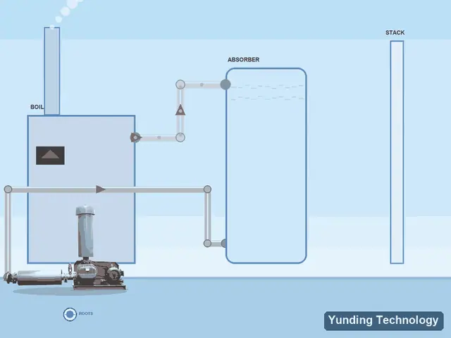 Flue Gas Desulfurization