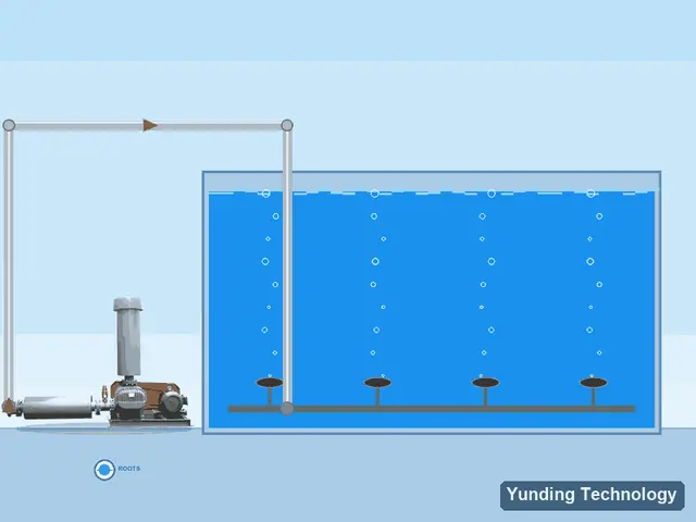 Wastewater Aeration