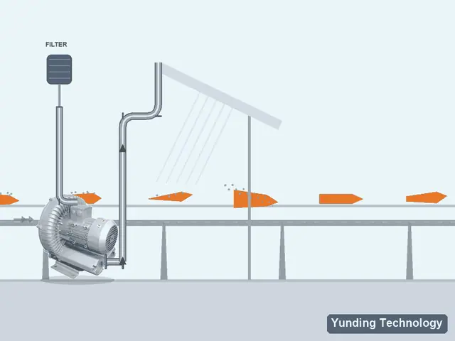 Vegetable Air-Knife Drying