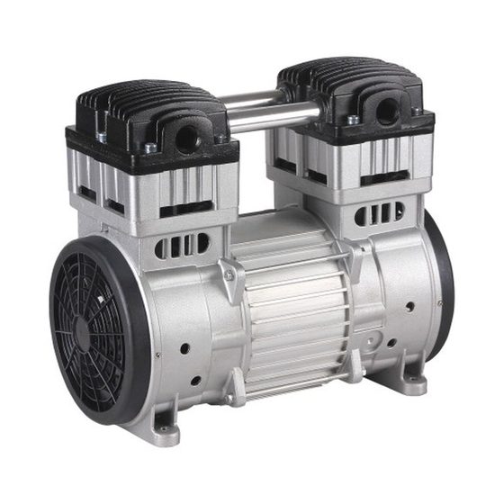 Oilless Vacuum Pump